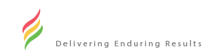 Elsource Inc logo